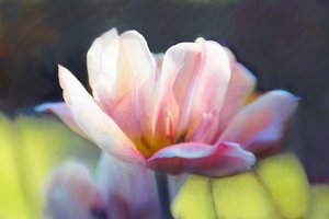 Emergence III